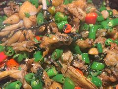 紫苏味牛蛙平锅-蛙来哒(友谊阳光城店)