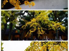 -西园戒幢律寺