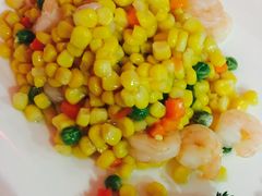-云中小雅