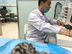 -纳吉亚猫专科动物诊疗中心(蒋宅口分院)