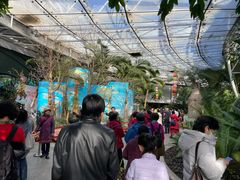 -北京植物园-展览温室