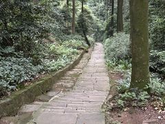 -缙云山景区