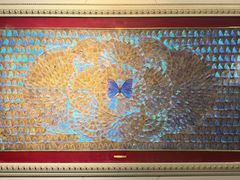 -上海昆虫博物馆