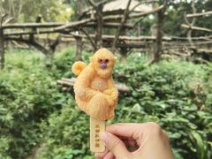 -成都动物园