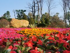 -文华公园(禅城区)