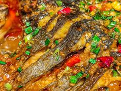 -鱼酷活鱼烤鱼(恒隆广场店)