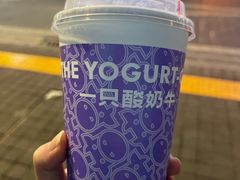 -一只酸奶牛(八一路店)