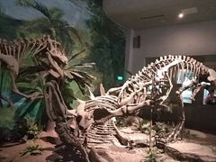 -自贡恐龙博物馆