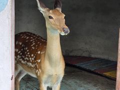 -明珠湖天鹅苑·农家菜馆