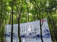 -帽儿山风景区