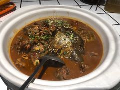 水库甲鱼-甲鱼张甲鱼铺子(观沙岭店)