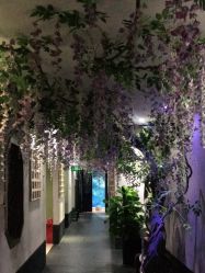 -盘子女人坊生日照·摄影馆(华强店)