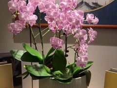 -顺峰(农展馆店)