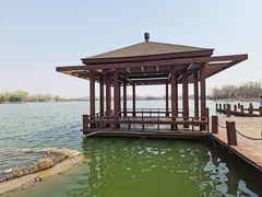 -石家庄市植物园