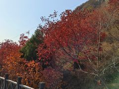 -狼牙山风景区