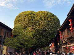 -三坊七巷历史文化街区