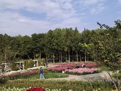 -石家庄市植物园