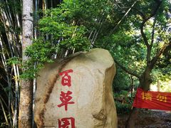 -田心森林公园