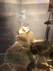 -未来动物城动物主题公园(大悦城店)