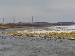 -长春北湖公园