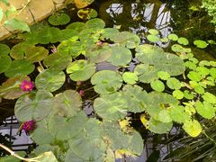 -国家植物园南园