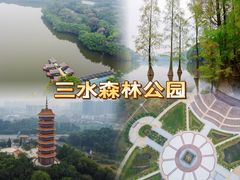 -三水森林公园