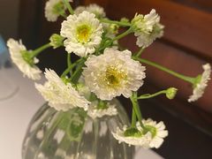 -夏朵花园(复兴西路店)