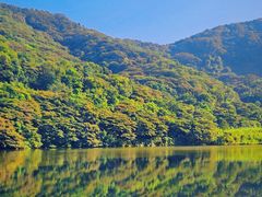 -黄埔油麻山森林公园