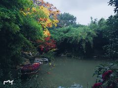 -汇龙潭
