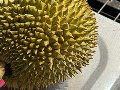 -榴莲BB 四季果园
