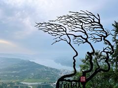 -美心红酒小镇游乐园