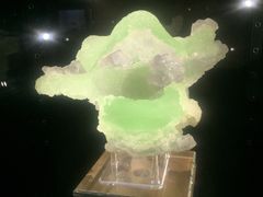 -中国地质大学逸夫博物馆