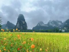 -明仕田园