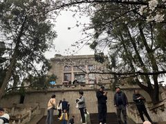 -武汉大学-樱园