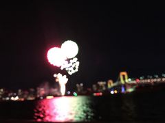 -台场海滨公园船码头