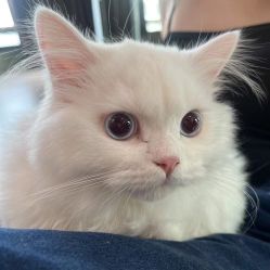 点击看大图 -OCEAN DANCE高空舞蹈室