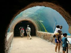 android_upload_pic-河川生态园