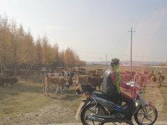 -塞罕坝国家级自然保护区