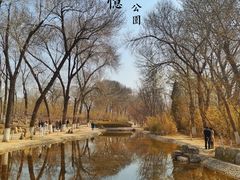 -桃花堤公园