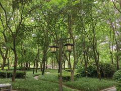 -木塔寺遗址生态公园