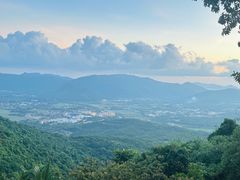 -三亚亚龙湾人间天堂鸟巢度假村