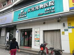 -安安宠医宠物医院·异宠·犬猫内科(岳阳分院)
