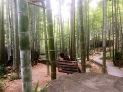 -山沟沟景区