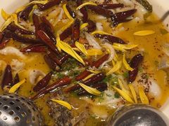-新太二·鲜料川菜(智慧城广百店)
