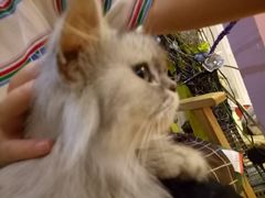 -万小咖.猫咖(中山路天虹店)