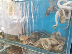-小郭私房菜·海肠捞饭店(学士街店)