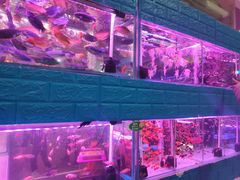 -三旗百汇商品城