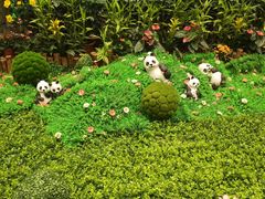 -胖哥俩肉蟹煲(万国店)