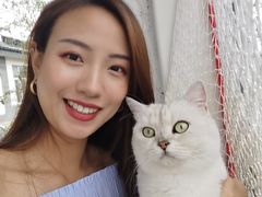 -喵屿·大理花园猫咖