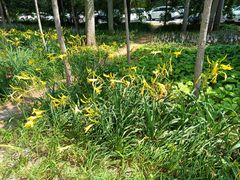 -秦皇岛野生动物园
